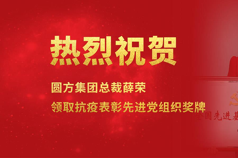 公司动态